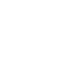 Palm Tree Group